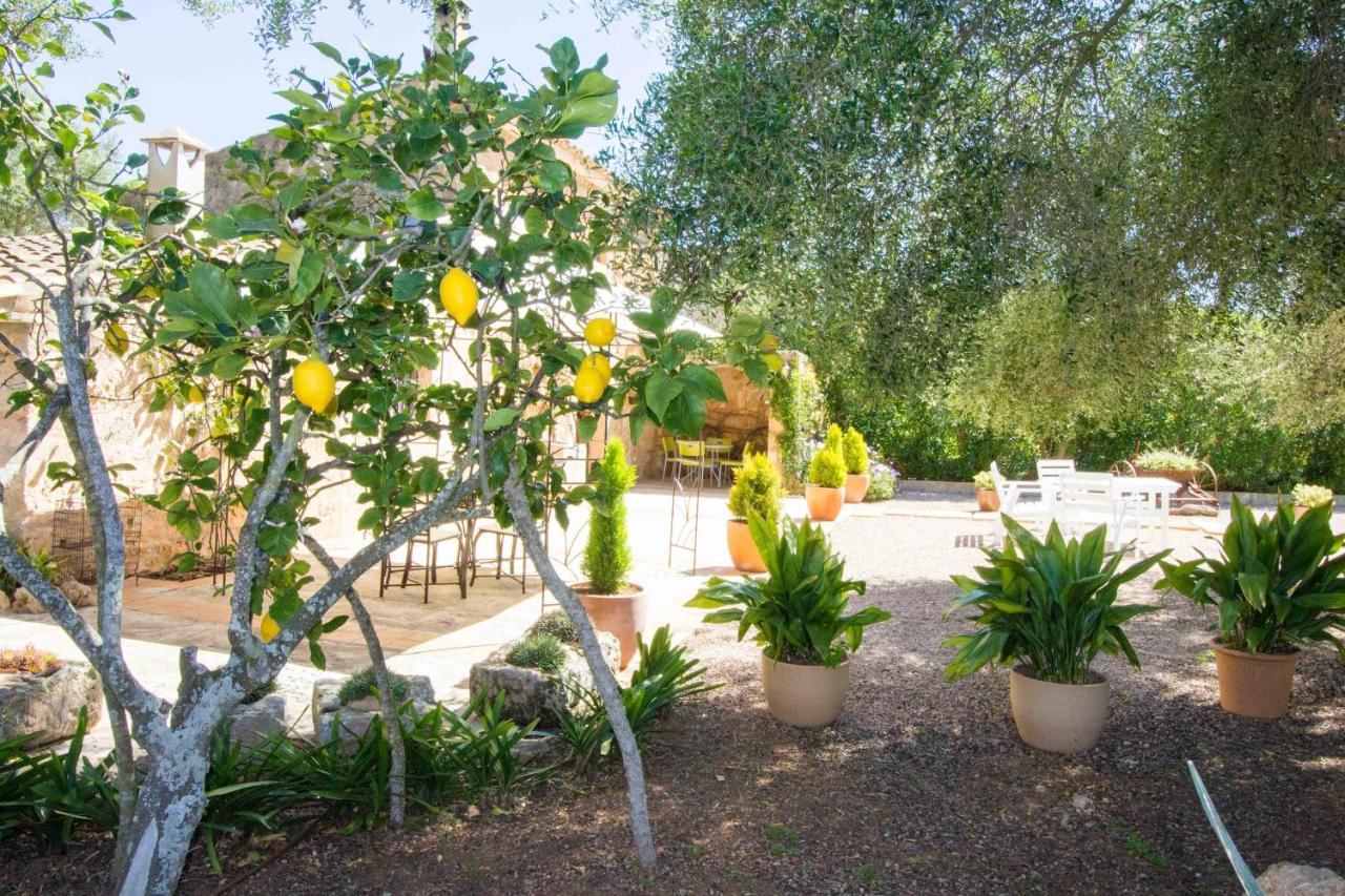 Preciosa Finca Rustica Con A/C Y Piscina Exclusiva الجايدا المظهر الخارجي الصورة